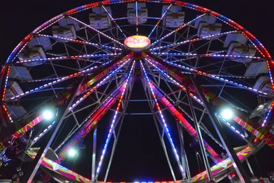 DSC_7789 (Large).JPG